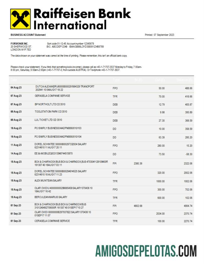 Baixável Raiffeisen Bank International Bank International Company Statement modelo Word e PDF